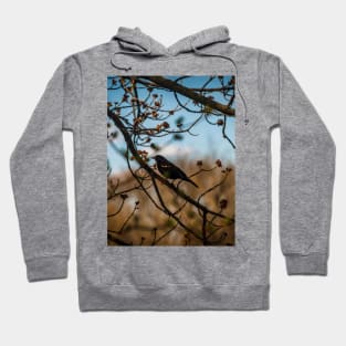 The Boughs Hoodie